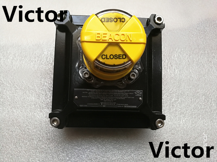 美國RS Electric泵